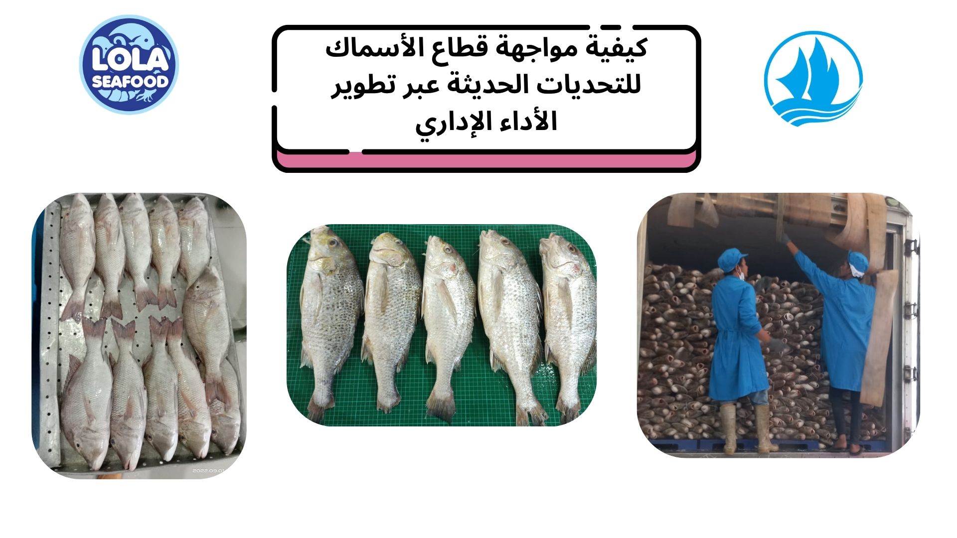 كيفية مواجهة قطاع الأسماك للتحديات الحديثة عبر تطوير الأداء الإداري